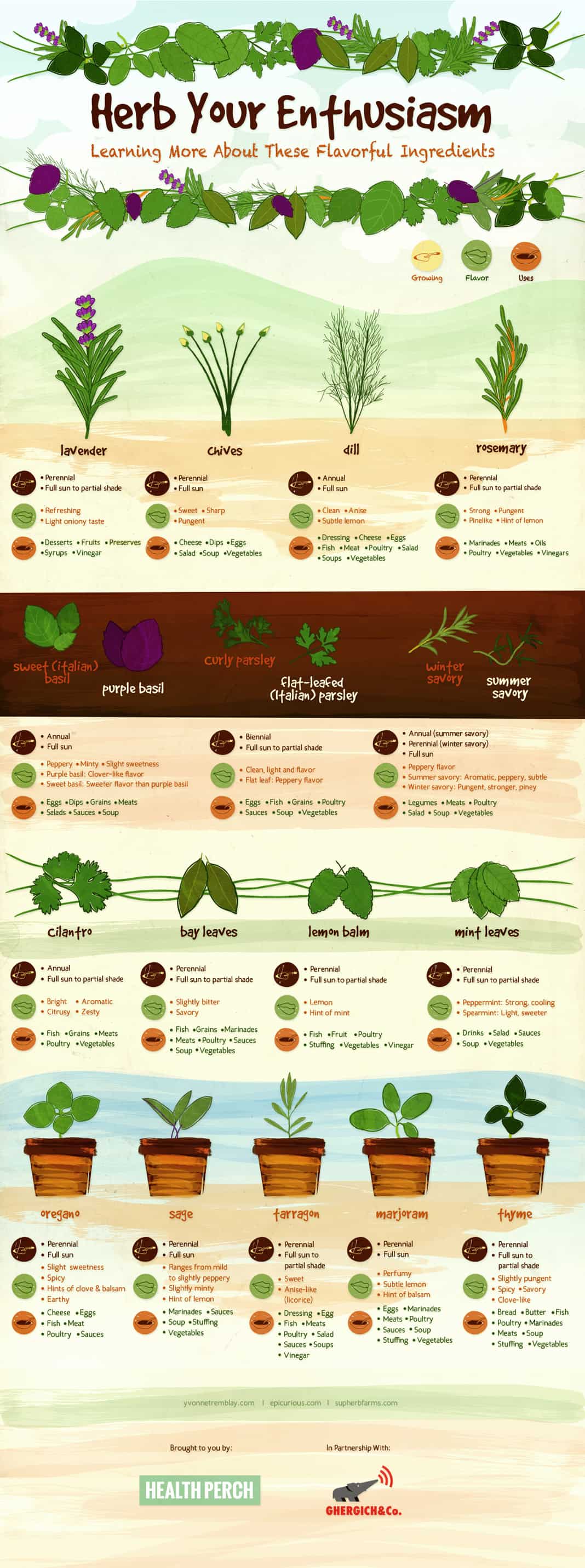 Guide To Growing And Using Herbs Infographic Ecogreenlove