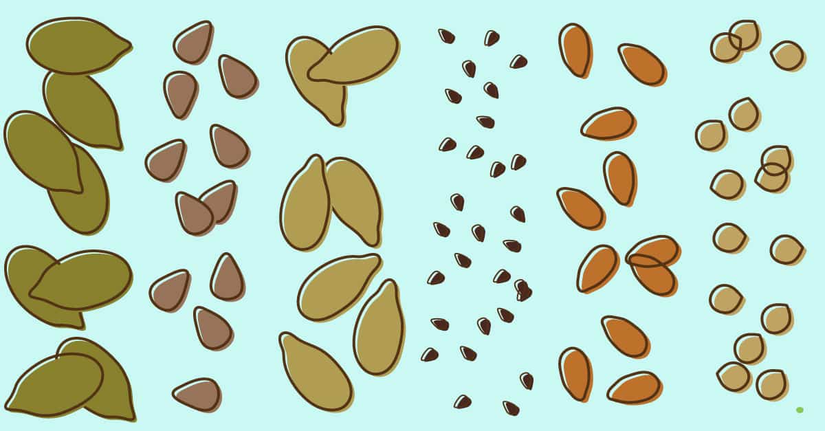 6 Edible Seeds That Are Bursting With Nutrients