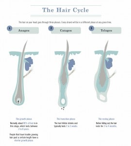 Tried and True Ways to Prevent and Combat Female Hair Loss