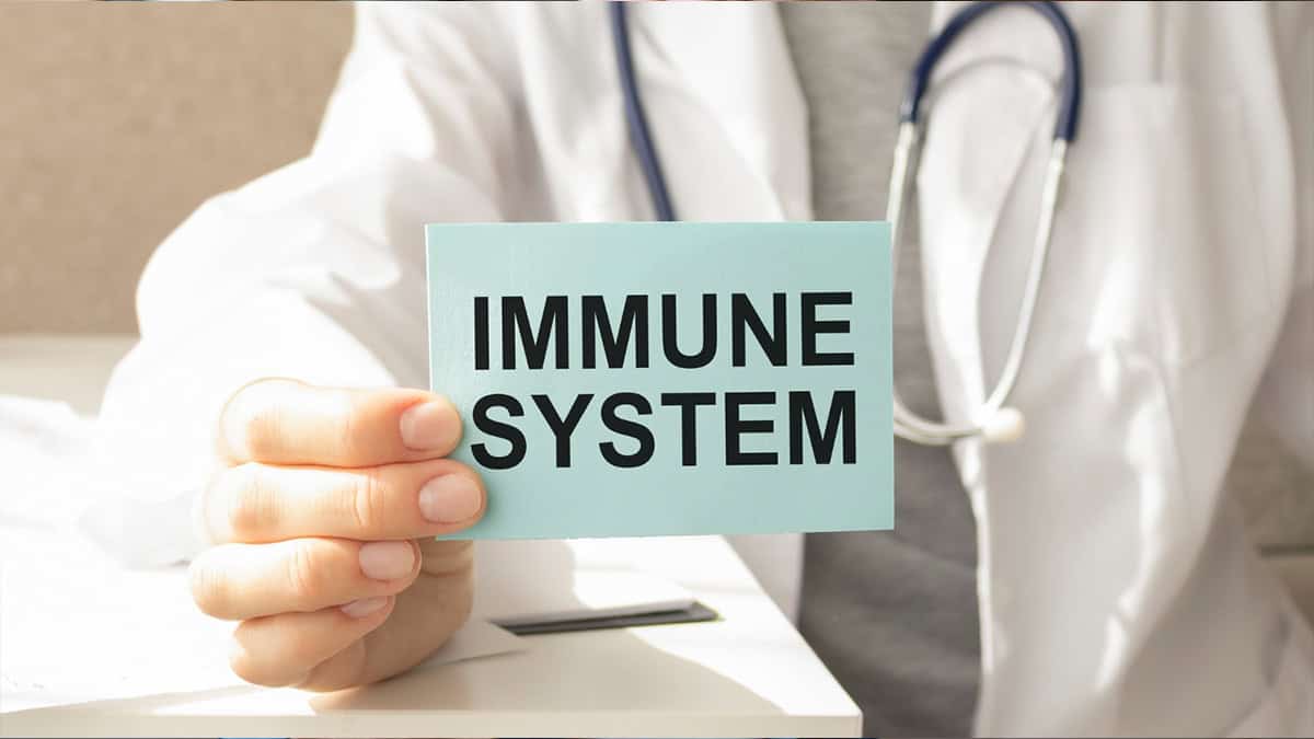 Immune System